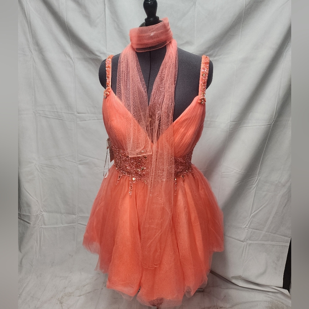 Orange Beaded formal dress for any occasion NWT Size 2XL & XL
